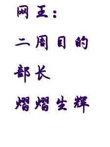 网王,二周目的部长熠熠生辉